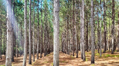 1697 Vinson Rd, Meigs, GA 31765 - photo 5