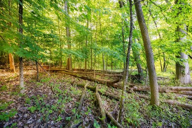 9776 Harbor Trail Dr, Whitmore Lake, MI 48189 - photo 2