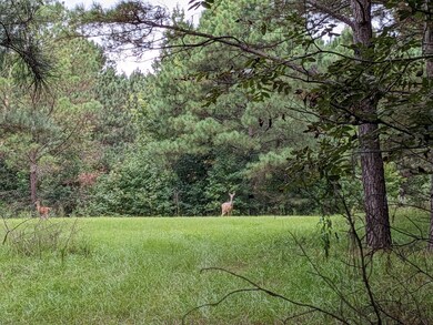 PXL_20240917_181113166.MP (1)