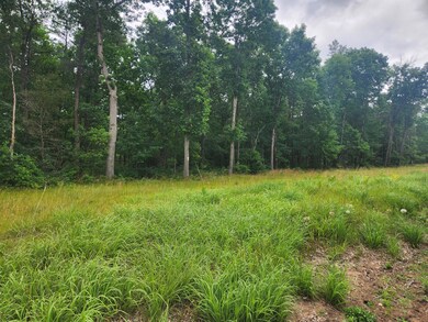 Parcel D W 16th St, Baldwin, MI 49304 - photo 4