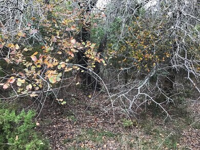 41063 Heartwood Cir, Whitney, TX 76692 - photo 5