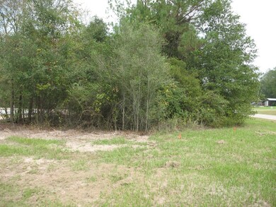 195 Sunset Dr, Lufkin, TX 75904 - photo 3