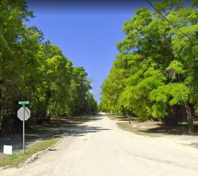 4336 284th Terrace, Branford, FL 32008 - photo 3