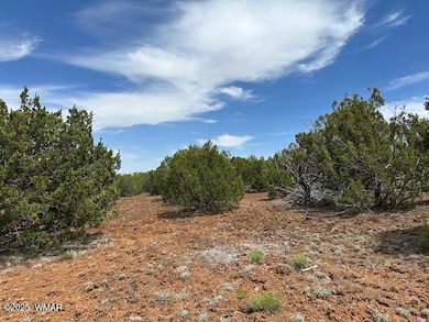 50 County Rd, Concho, AZ 85924 - photo 2