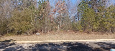 3299 Hillcrest Place unit 12, Adamsville, AL 35005 - photo 4