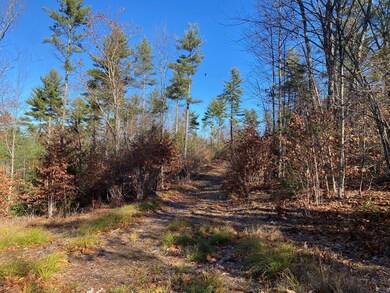 599 Pequawket Trail, Steep Falls, ME 04085 - photo 7