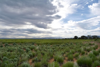 Lot 8 Road K 3, Cortez, CO 81321 - photo 6