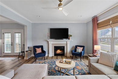Living area featuring a fireplace, crown molding,