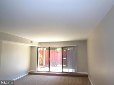 103 Skyhill Rd unit 1, Alexandria, VA 22314 - photo 5