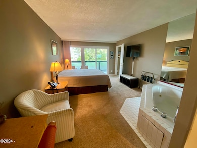 Bedroom with Spa