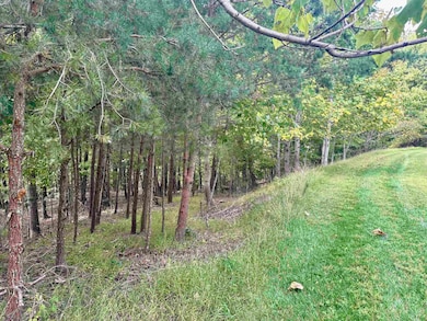 1030 Treetop Ridge Rd, Blacksburg, VA 24060 - photo 6