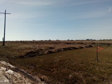 23551 Border St, Spring, TX 77373 - photo 2