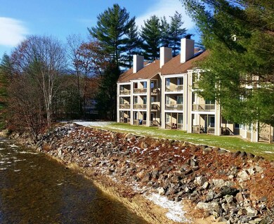 20 Crossing Dr unit 104, Woodstock, NH 03262 - photo 5