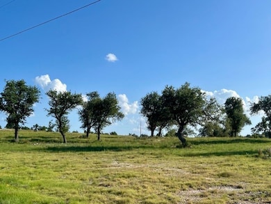 Lot 25 Badger Ridge Rd unit 25, Fredericksburg, TX 78624 - photo 3