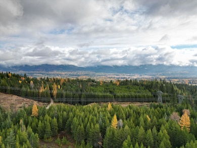 TBD Schlegel Ranch Lot 11 Rd, Ione, WA 99139 - photo 2