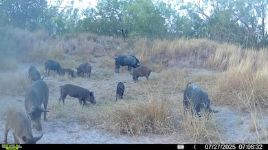 0 Cameron Ln, Fowlerton, TX 78021 - photo 2