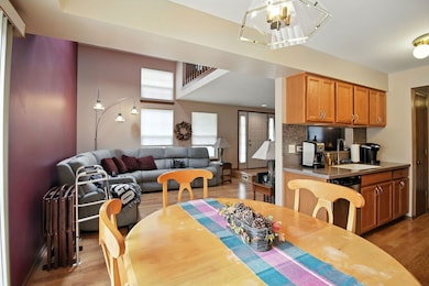 8229 170th St unit 8229, Tinley Park, IL 60477 - photo 3