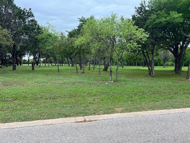 27021 Stonewood Dr, Whitney, TX 76692 - photo 7