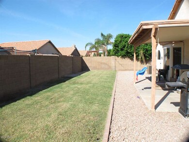 Back Yard 1
