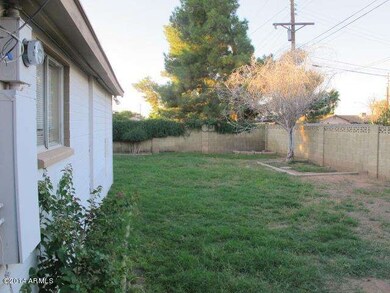 IMG_6164[1]