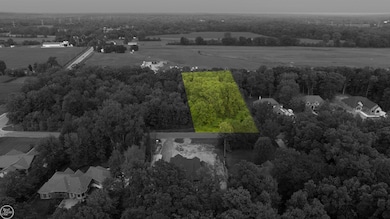 62880 Braun Dr, Washington, MI 48094 - photo 5