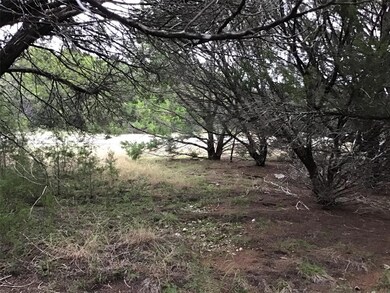 40091 Cedarcrest Dr, Whitney, TX 76692 - photo 6