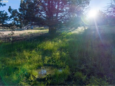 0 Davis Creek Rd unit 22199563, John Day, OR 97845 - photo 6