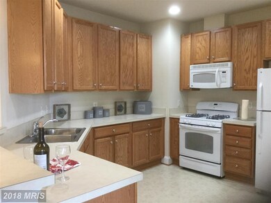 23620 Overlook Park Dr unit 303, Clarksburg, MD 20871 - photo 7