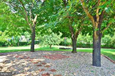 15691 Senedo Rd, Edinburg, VA 22824 - photo 6