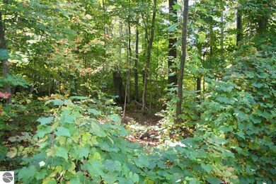 _ E Cherry Ln, Cedar, MI 49621 - photo 3