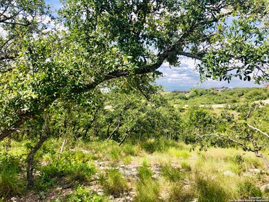 23215 Linwood Ridge, San Antonio, TX 78255 - photo 2