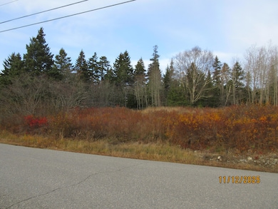 Lot 1 Smalls Point Rd, MacHiasport, ME 04655 - photo 3