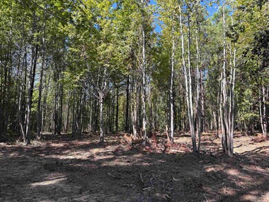 0 Bethuel Rd unit Lot 13, Unincorporated, TN 38053 - photo 2