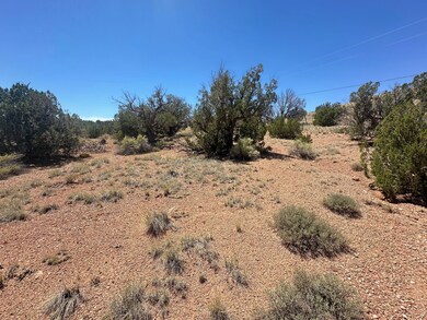 0 W Shumway Rd, Taylor, AZ 85901 - photo 7