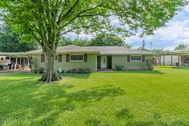 20083 Britt Oaks Dr, Alvin, TX 77511 - photo 3