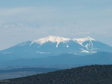 Bokick Lot 386 view pic