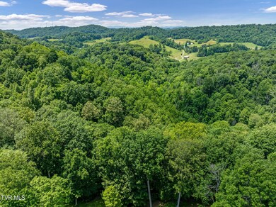 DJI_0861