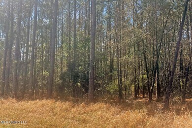 1.5 Acres Barton Agricola, Lucedale, MS 39452 - photo 5