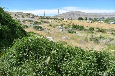 0 Lot 4 Lone Coyote unit NWM2401701, Pateros, WA 98846 - photo 6