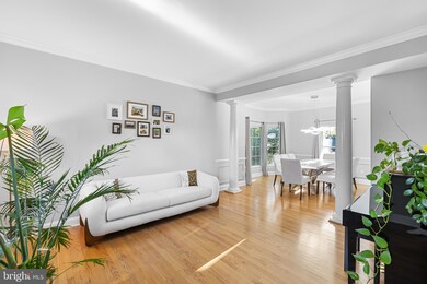 42963 Tara Ct, Ashburn, VA 20147 - photo 5