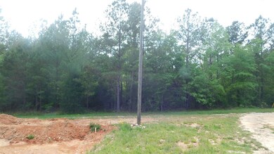 2112 Loco Church Rd, Lincolnton, GA 30817 - photo 5