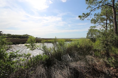 20 George Vause Rd, Alligator Point, FL 32346 - photo 7