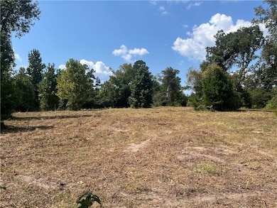 0 Cotile Lake Rd, Boyce, LA 71409 - photo 7