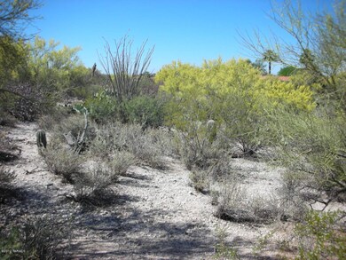 0 E Vía Alcalde unit 2 21211389, Catalina Foothills, AZ 85718 - photo 3