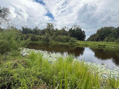 6-Z-1-C Pertuis Rd, Saint Amant, LA 70774 - photo 5