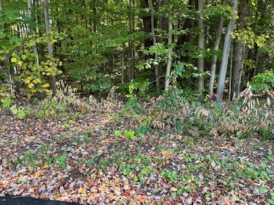 00 Oakview Terrace, Rome, NY 13440 - photo 3