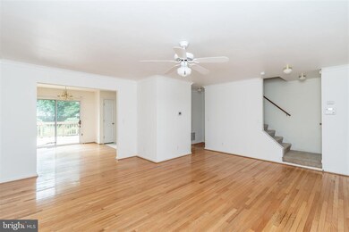 919 Windsor Ave, Annapolis, MD 21403 - photo 5