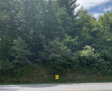 TBD Howard Gap Rd, Hendersonville, NC 28793 - photo 2
