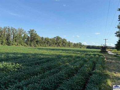 16100 +/- S All, Pimento, IN 47866 - photo 6