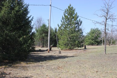 Side Yard